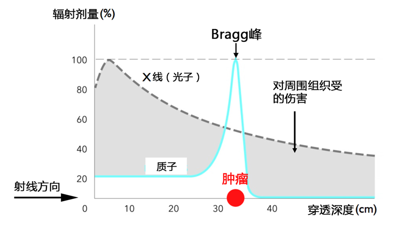 bragg_peak 中文 .png