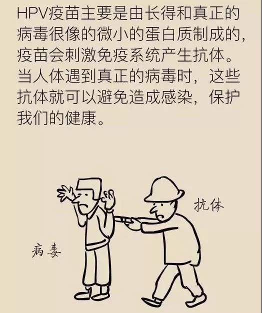 微信图片_20180709111526.jpg