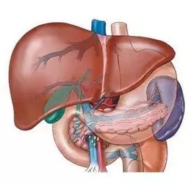 640.webp (12).jpg