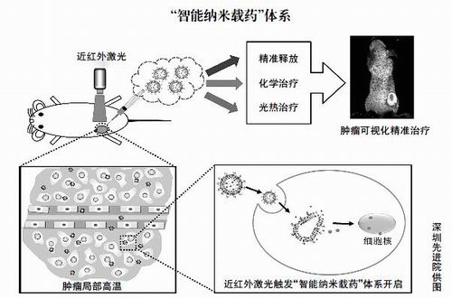 春雨国际 春雨国际医疗 癌症0.jpg