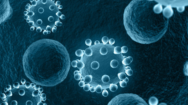 细菌 1-1.jpg