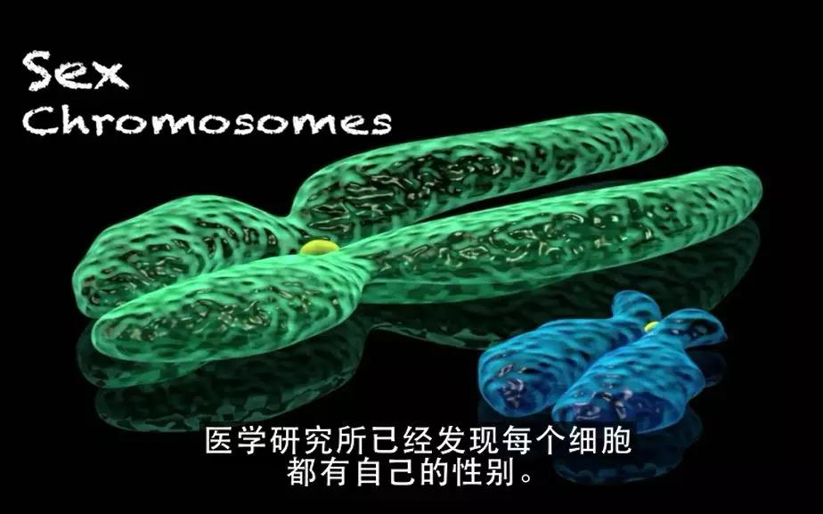 微信图片_20180704102037.jpg