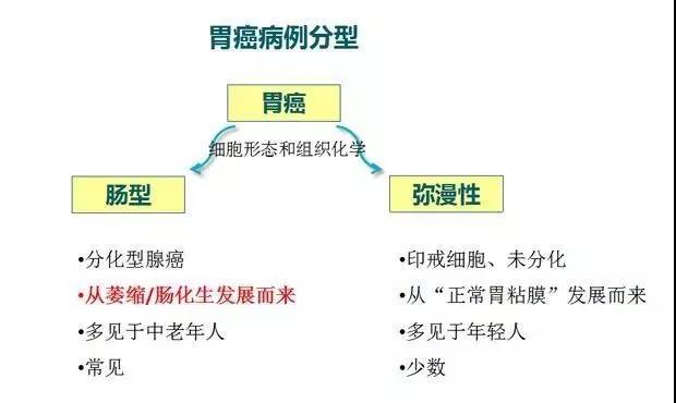 微信图片_20180921172910.jpg